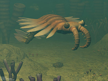 Anomalocaris, 500 million years ago