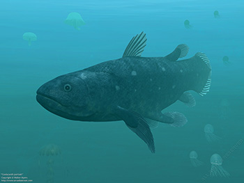 Coelacanth portrait, 390 million years ago