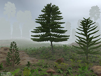 Conifers and Cordaitales, 300 million years ago