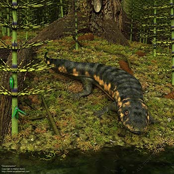 Dendrerpeton, 315 million years ago
