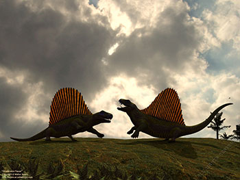 Dimetrodon fracas, 280 million years ago