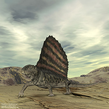 Dimetrodon grandis portrait, 280 million years ago