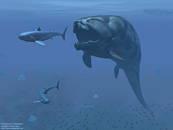 Dunkleosteus & Cladoselache, 370 million years ago