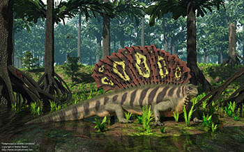 Edaphosaurus amidst Cordaites, 300 million years ago