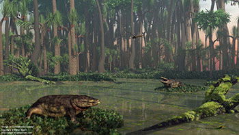Carboniferous swamp with Eryops, 300 million years ago