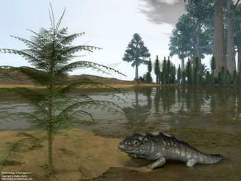 Ichthyostega and Rhacophyton, 365 million years ago
