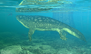 Ichthyostega underwater, 365 million years ago