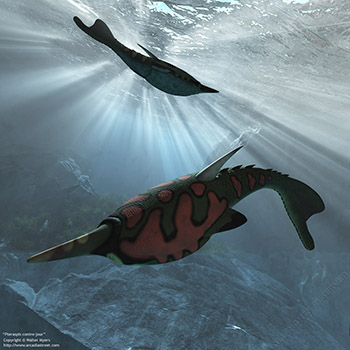 Pteraspis contre-jour, 410 million years ago