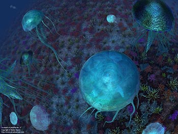 Smack of jellyfish No. 2, 500 million years ago