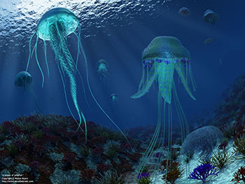 Smack of jellyfish, 500 million years ago