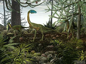 Coelophysis amongst Araucaria, 215 million years ago