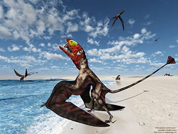 Dimorphodon on the beach, 195 million years ago