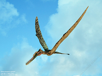 Zhenyuanopterus portrait,  125 million years ago