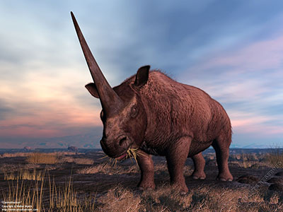 Elasmotherium, 2 million years ago