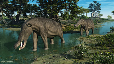 Platybelodon in stream, 9 million years ago