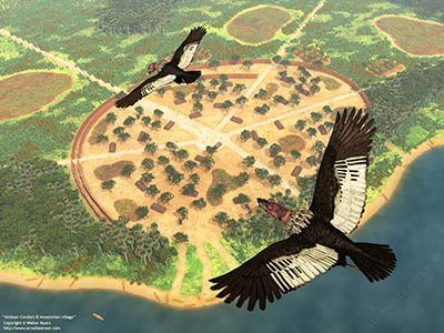 Andean Condors & Amazonian village, 1,700 years ago