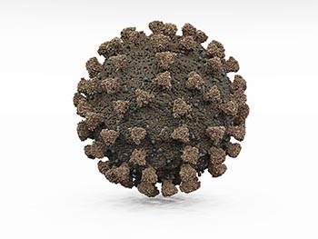 Coronavirus brown No. 1