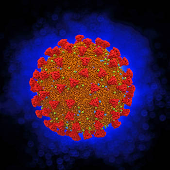 Coronavirus red on blue No. 2