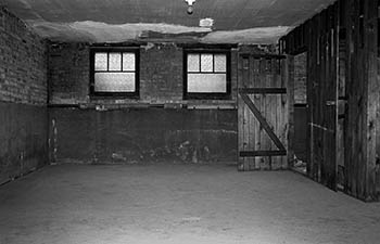 Basement windows   -   Oak Park, IL, 1982   -   Kodak Tri-X black & white 35mm film