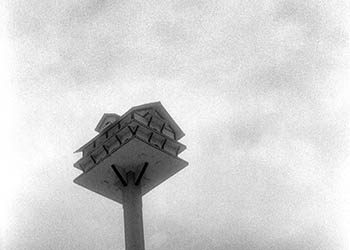 Birdhouse   -   Oak Park, IL, 1983   -   Kodak infrared black & white 35mm film