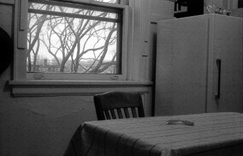 Kitchen table   -   Oak Park, IL, 1983   -   Kodak infrared black & white 35mm film