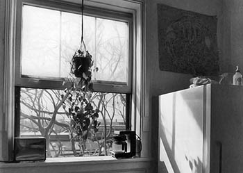 Kitchen window with hanging plant   -   Oak Park, IL, 1982   -   Kodak Tri-X black & white 35mm film