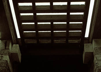 Pergola shade   -   Oak Park, IL, 1982   -   Ilford XP-1 chromogenic black & white 35mm film