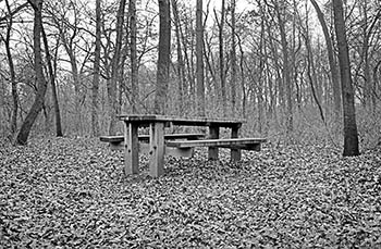 Picnic table   -   Oak Park, IL, 1981   -   Kodak Tri-X black & white 35mm film