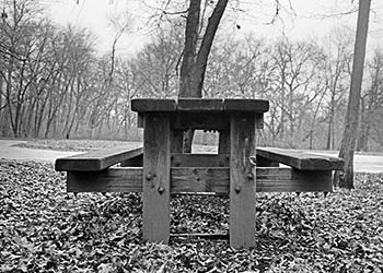 Picnic table end No. 2   -   Oak Park, IL, 1981   -   Kodak Tri-X black & white 35mm film