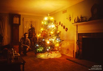 Self-portrait with Christmas tree   -   Adrian, MI, 1982   -   Kodak Ektachrome color 35mm transparency film